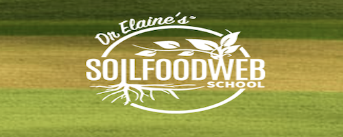 Soil Food Web